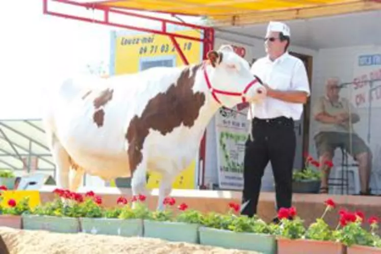 Fleur du Gaec de Vareilles à St Just dans le Puy-de-Dôme remporte la 1ère place dans la section vaches en 4ème lactation