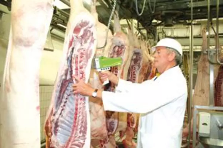 Le marché au cadran de Plerin a rouvert le 18 août mais sans les deux plus gros acheteurs : Cooperl et Bigard.