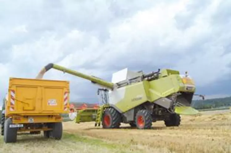 La coopérative Limagrain collecte annuellement 175 000 tonnes de blé. A ce jour, plus de 75% de la récolte est réalisée