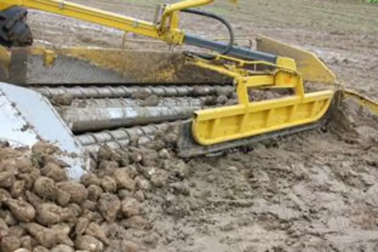 La Sucrerie enregistre une baisse importante de la tare terre grâce à l’utilisation de 3 machines avaleurs-déterreurs. Le déterrage engendre une économie substantielle  pour Cristal Union.