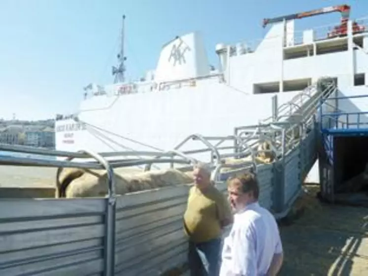 3 000 babys, en partance, vendredi dernier, pour la Turquie, au départ du port de Sète.