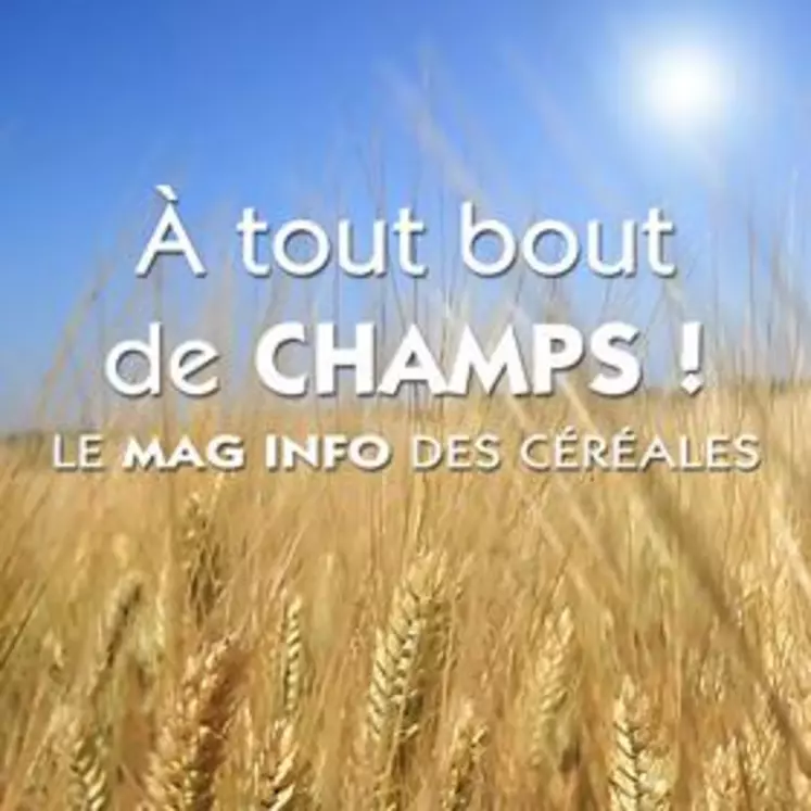 "A tout bout de champs ! Le mag info des céréales" - Emission N°1