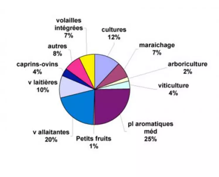 Fermes bio par production principale dans le Puy-de-Dôme en 2006