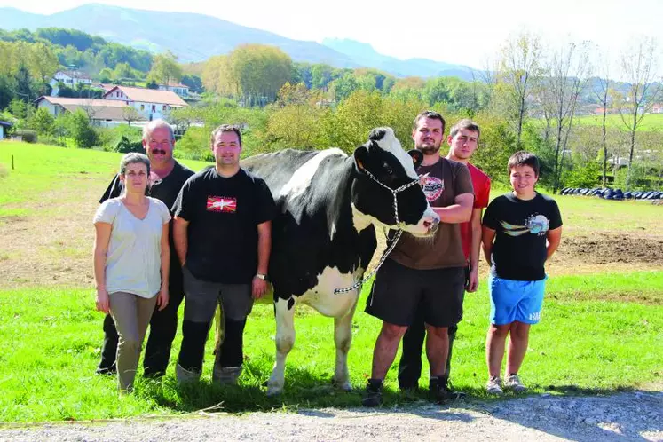 Lait : une poche de résistance au Pays basque