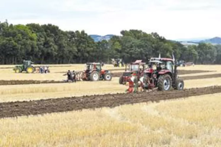 Le concours de labour est une institution avec ses propres règles ; c’est aussi une grande fête mettant l’agriculture à l’honneur.