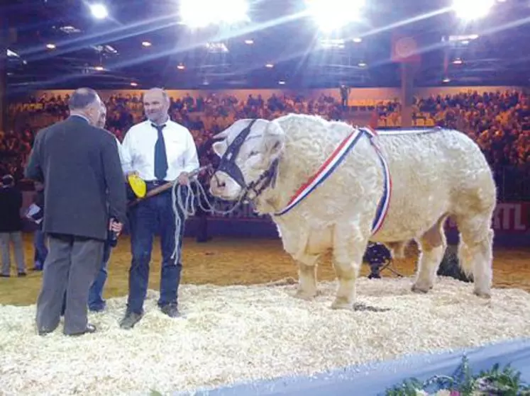 A peine sur le ring, l’issue du classement en faveur de BACCHUS ne faisait aucun doute tant il domina les sections. Ce qui a dominé ensuite, c’est l’émotion de Roland Garde (Président Syndicat charolais) et Michel Boileau (Président GIE Charolais leader) ainsi que de la quinzaine de supporters venus du Puy de Dôme.