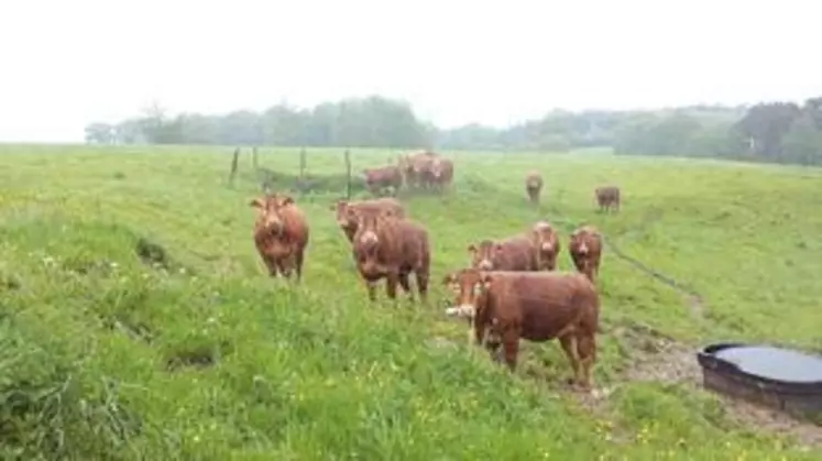 Les orages répétitifs ont gorgé d’eau les prairies et pâtures rendant la récolte de l’herbe compliquée et parfois impossible