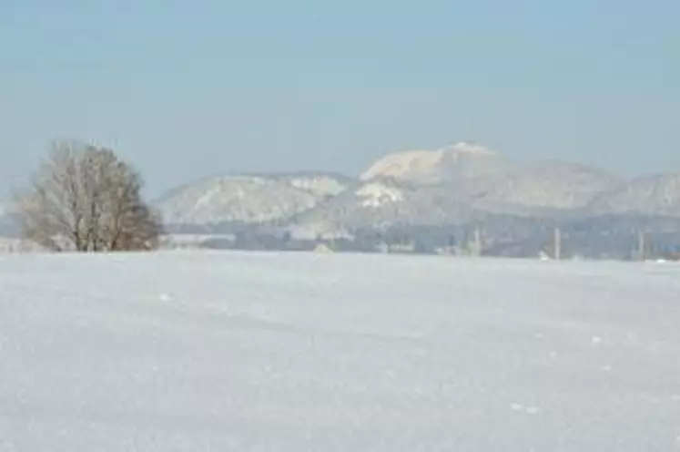 En début de semaine, la neige est retombée en plaine comme en montagne renforçant la protection des blés contre le froid, susceptible de revenir.