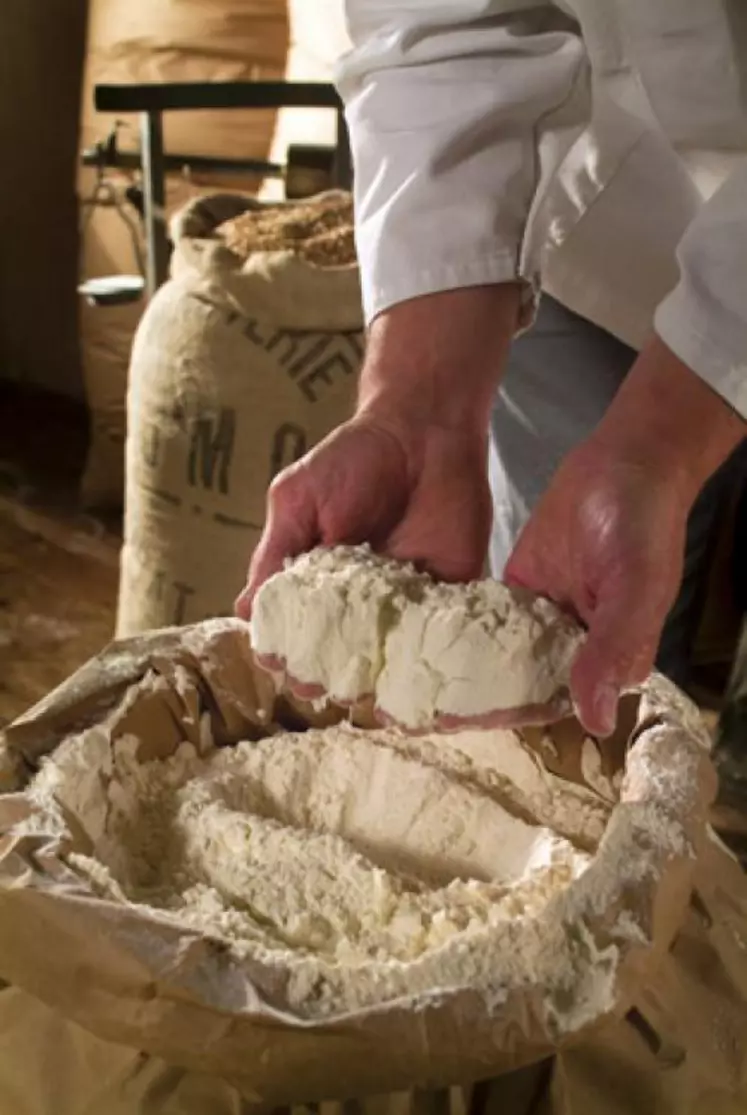 Une trentaine de boulangers situés en Auvergne, à Paris et en région parisienne ont d’ores et déjà choisi la farine Label Rouge pour leur baguette Tradition