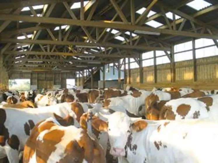 Le bassin Auvergne-Limousin représente 5,6 % de la production nationale.
