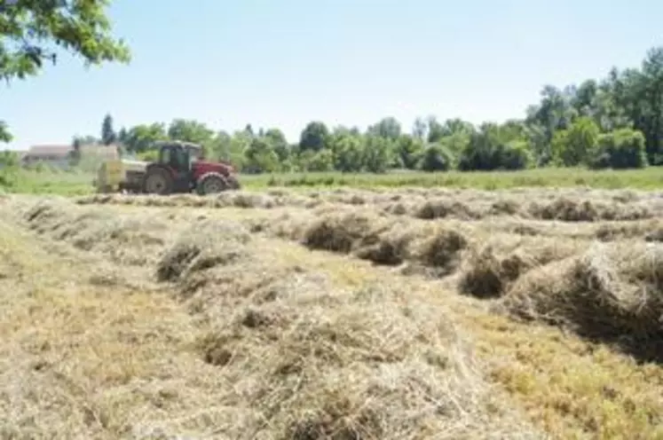 La fenêtre de beau temps de la semaine passée a permis, à bon nombre d’éleveurs, de reprendre les travaux de récolte des fourrages.