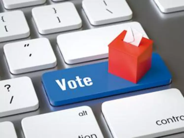 Du 20 au 30 janvier 2020, les ressortissants de la MSA pourront voter en ligne.