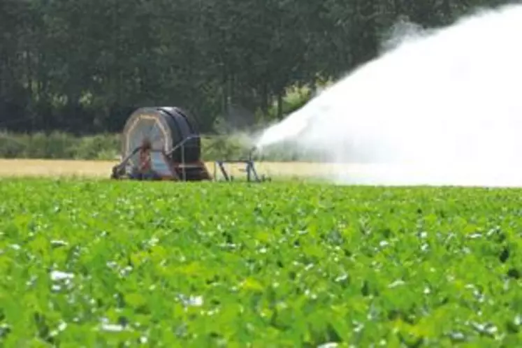 L’irrigation des betteraves sucrières a débuté fin juin et celle sur les maïs a commencé il y a une semaine.