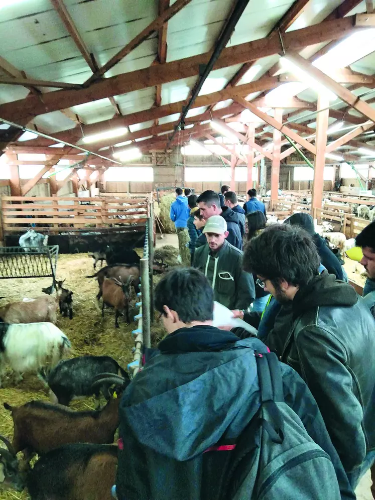 Au Gaec La Ferme des Sonnailles.