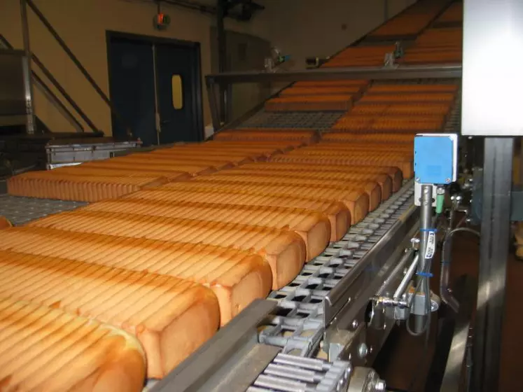 La production de pain de mie Jacquet tourne à plein régime.