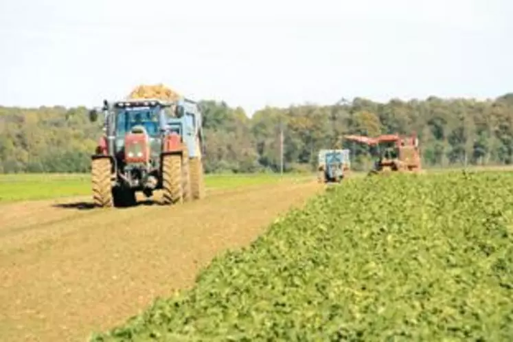 L’arrachage des betteraves sucrières ont débuté en septembre et se poursuivent malgré les orages de la semaine passée.