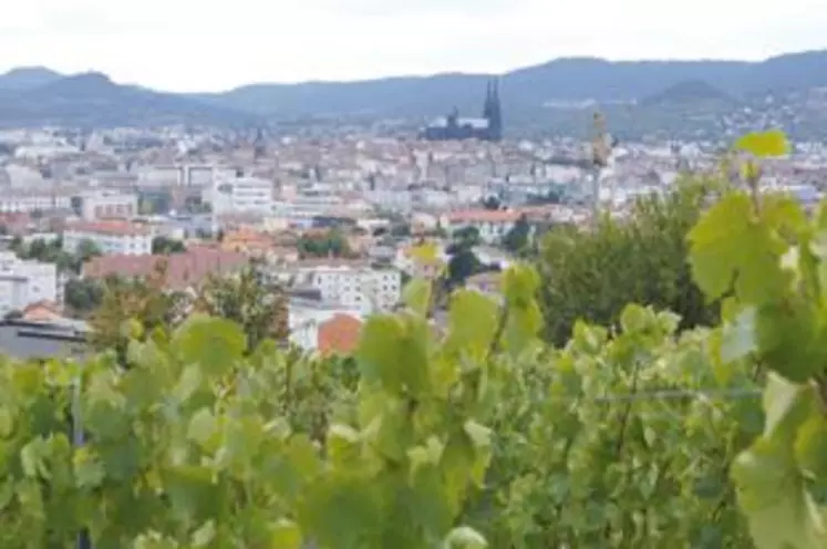 Les professionnels de la viticulture du Puy-de-Dôme travaillent main dans la main à l’organisation du premier salon international des vins volcaniques.