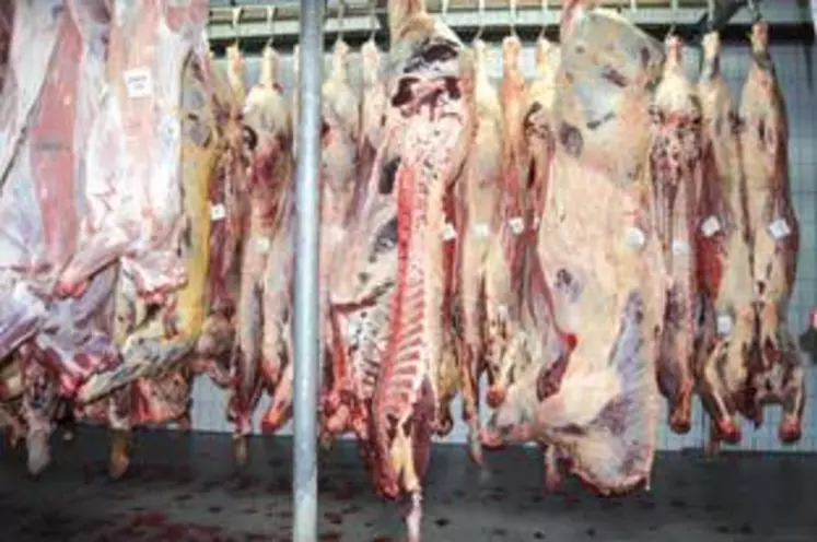 L’abattoir d’Ambert renforce son process pour plus de qualité