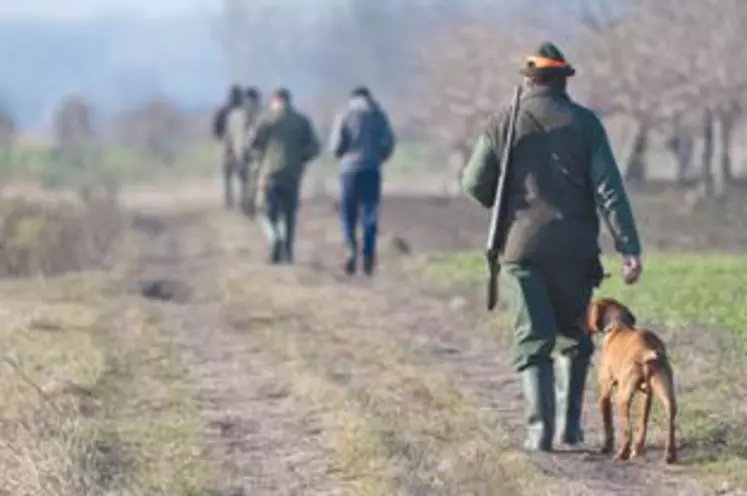 La saison de chasse s’ouvre sur de nombreuses nouveautés à commencer par la réduction du tarif du permis de chasser.