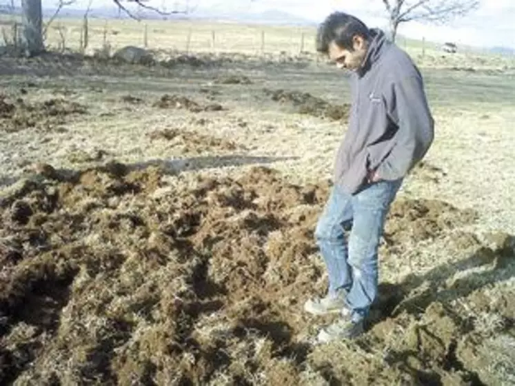 Cédric Faure du Gaec de la Rose des Vents (à Egliseneuve d’Entraigues), découvre de nouveaux dégâts de la nuit passée, il doit refaire entièrement 5 hectares de prairie !