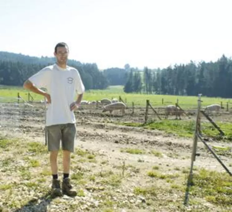 Fort d'une expérience en engraissement, acquise sur l'exploitation familiale, Ludovic Pitavy élève en plein air des porcs qui seront labellisés «Porcs Fermiers d'Auvergne.»