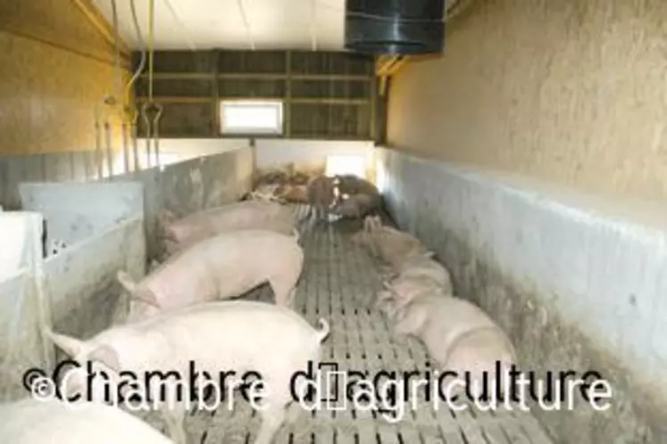 Des salles aménagées pour l’hygiène et le confort des animaux.