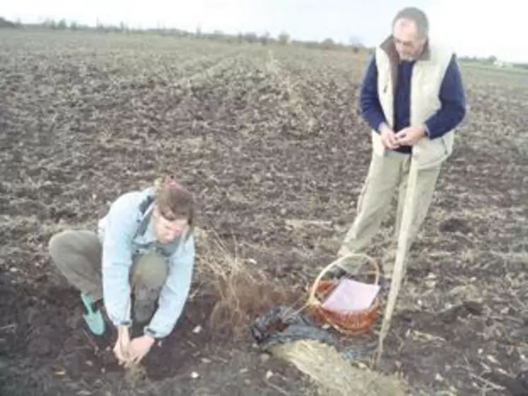 Démonstration de plantation.