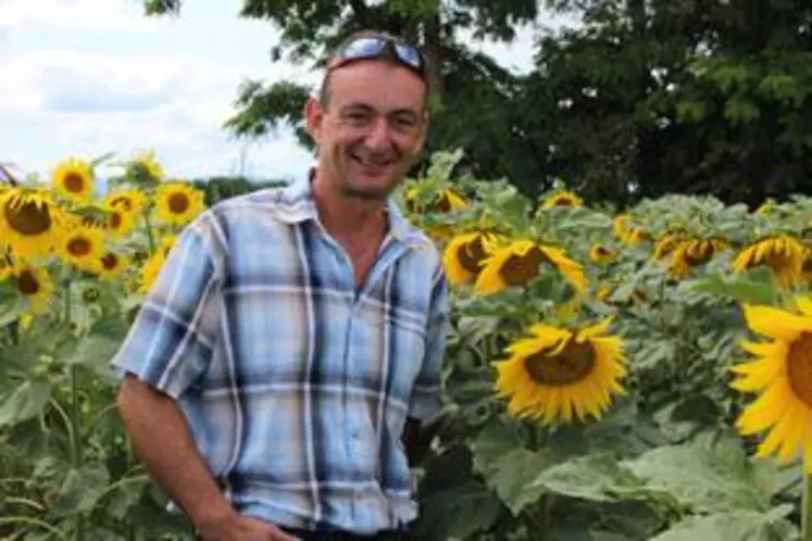 Des ruches au milieu des tournesols, un partenariat gagnant-gagnant pour Stéphane Chevarier.