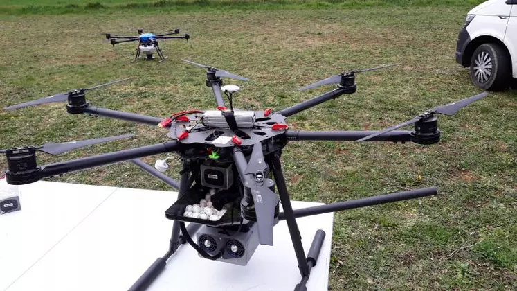 L’épandage de trichogramme par drone permet de réduire considérablement les temps d’intervention de cette technique ainsi que le besoin de main d’œuvre.