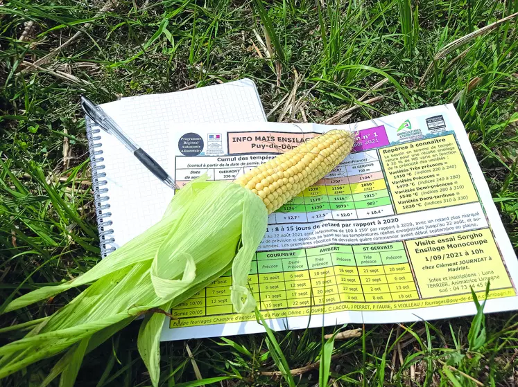 Par rapport à 2020, les dates de récolte du maïs ensilage accusent un retard d'une dizaine de jours.