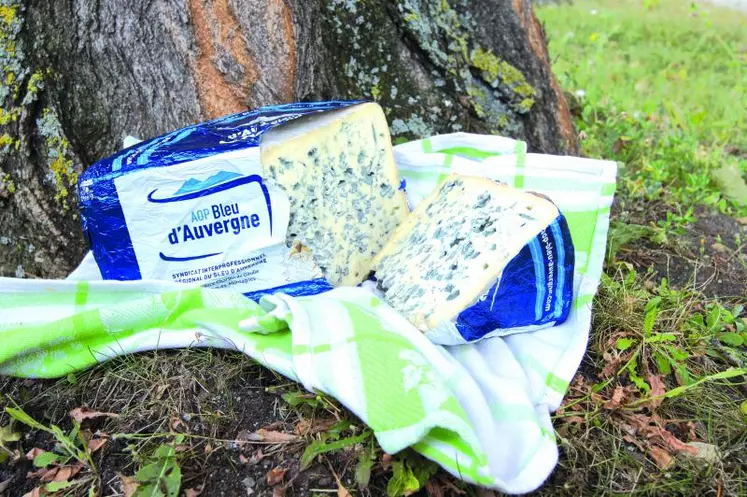 Le Bleu d’Auvergne est bien décidé à combattre ses handicaps et à s’imposer comme une AOP fromagère de renom.