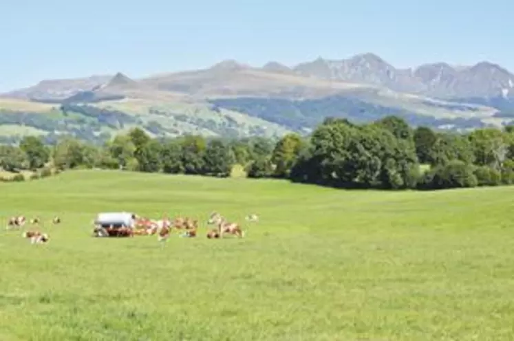 La FRSEA Massif central milite pour un soutien renforcé aux zones défavorisées et de montagne.