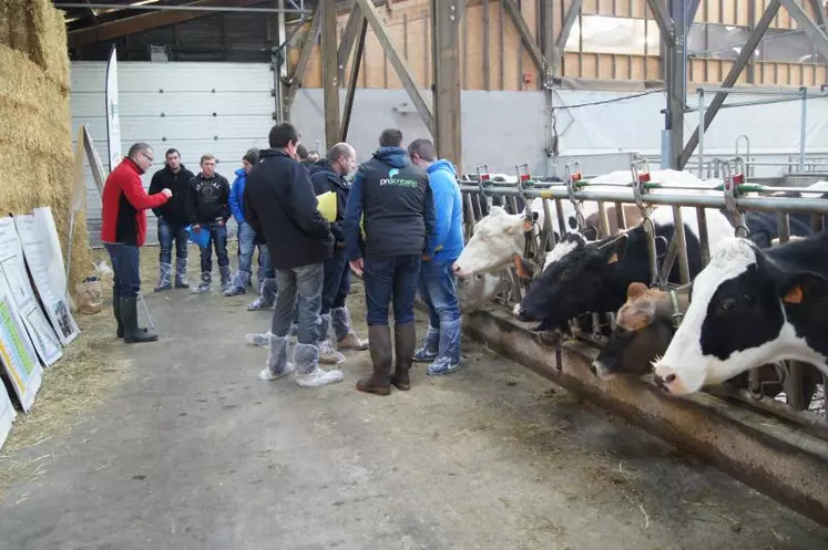 Les éleveurs ont participé à quatre ateliers techniques entourés des Prim’Holstein et des Jersiaises du GAEC de la Ferme du Clos à Cournols.