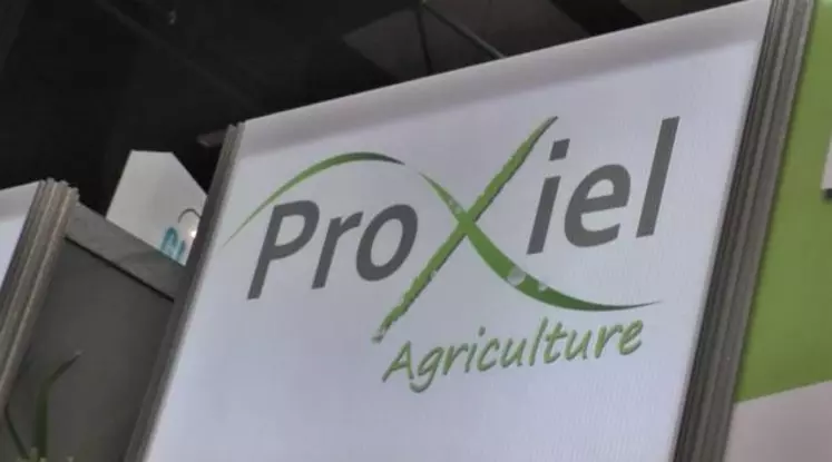 PROXIEL issue de Limagrain et Sanders