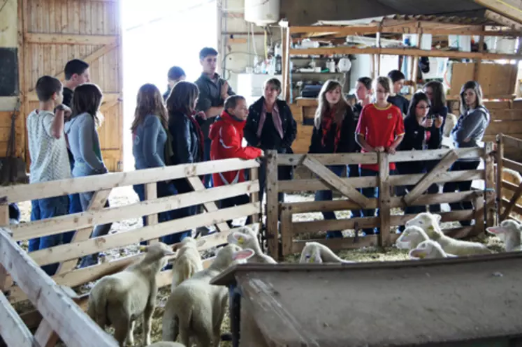 Thierry Orcière et Nicolas Honhon (Gaec du Sureau), éleveurs ovins, ont reçu les élèves du collège de Lezoux.