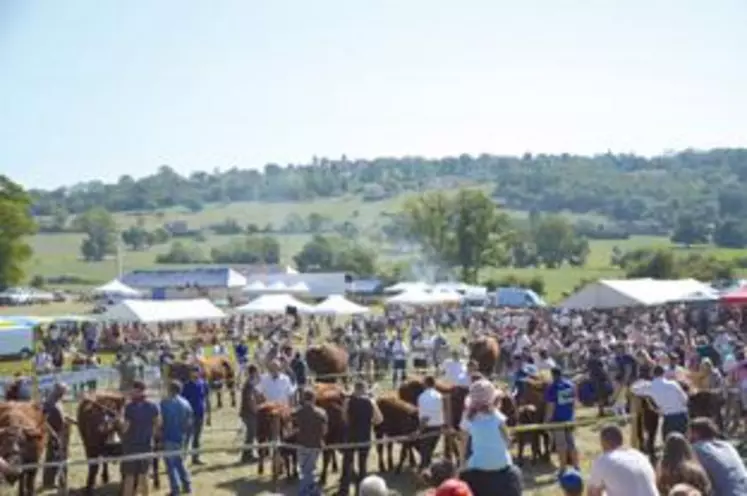 Un foirail toujours plein, de très nombreux stands bien agencés sur le site avec une organisation de la circulation au top. L’aligot, la fourme d’Ambert et la salers à la broche on fait recette : plus de 1200 couverts et une mise en appétit qui a duré plus d’une heure durant la queue que le public a du faire pour se mettre à table mais dans d’excellentes conditions d’accueil.