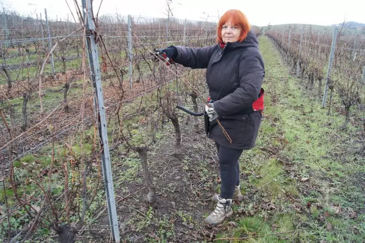 Avec beaucoup de passion et de savoir-faire, Carole Chambellant occupe ses journées d’hiver à tailler ses 7 hectares de vigne.