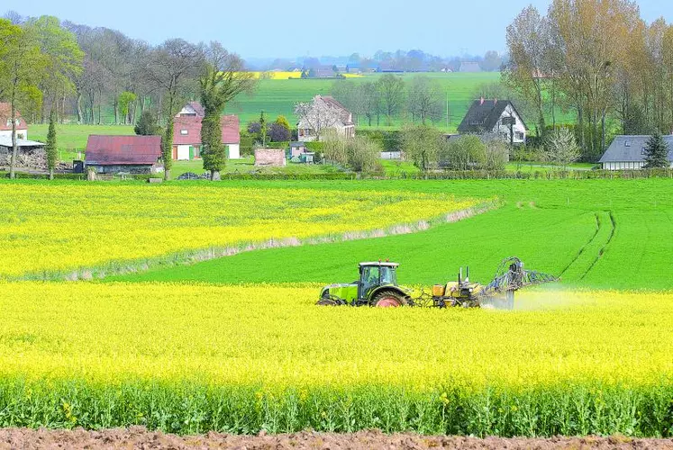 Pour un colza déjà emblavé, la FNSEA a obtenu que la réglementation ne s’applique qu’au 1er juillet 2020 pour les cultures d’automne.