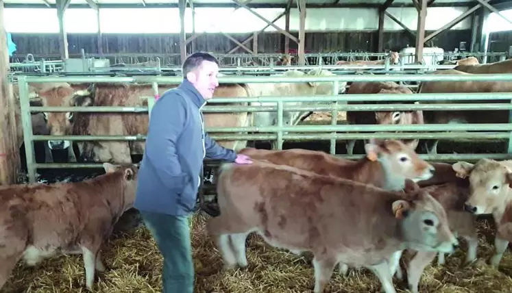 Durant un couple d’heures, vaches et veaux du troupeau ont été une à une commentée par Sébastien Laubanie. Beaucoup d’échanges, de contacts qui soudent les éleveurs aubrac entre eux.