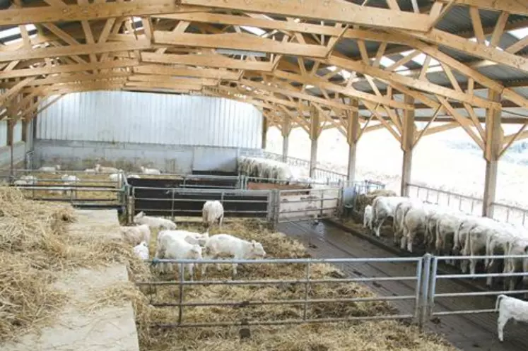 Depuis sa mise en place en 2005, le plan de modernisation des bâtiments d’élevage a accéléré les projets.