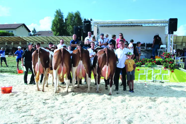 Concours bovins Vallée de l'Ance