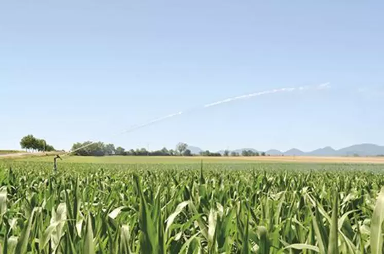 L'irrigation des cultures est soumise à l'application de tours d'eau dans certains secteurs tels que l'Eau-Mère et l'Ambène.