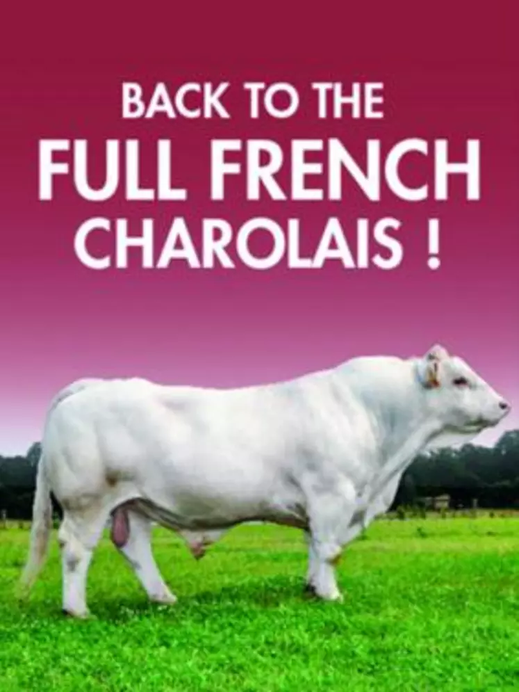 La bannière «Full French Charolais» est le support de commercialisation mis en place par SERSIA France