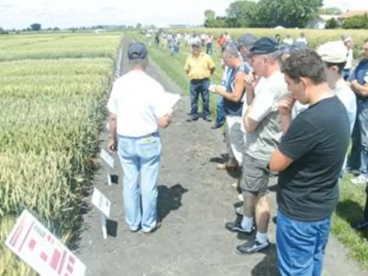 Visite d'essais sous un soleil de plomb et une chaleur étouffante. Présentation de nouveaux essais sur les variétés et les itinéraires culturaux croisés avec des rappels agronomiques.
