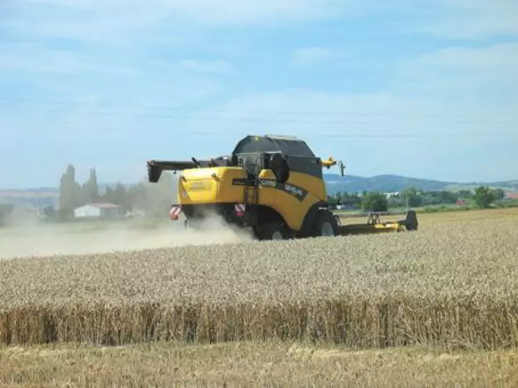 Les pluies continues durant la 2ème quinzaine du mois de mai ont provoqué des attaques importantes de fusariose sur l’ensemble des céréales à paille