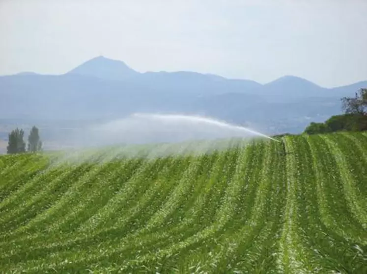 L’irrigation dans le Puy-de-Dôme conditionne l’équilibre voire le maintien de bon nombre d’exploitations agricoles.