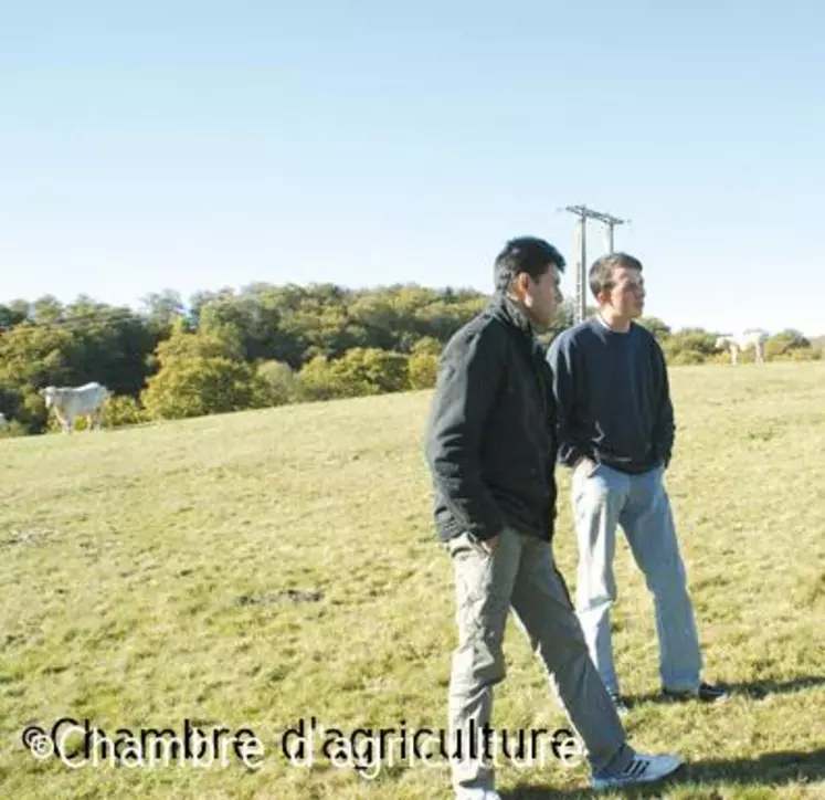 Le jeune qui s'installe bénéficie des conseils des techniciens qui l'accompagnent dans la conduite de son projet.