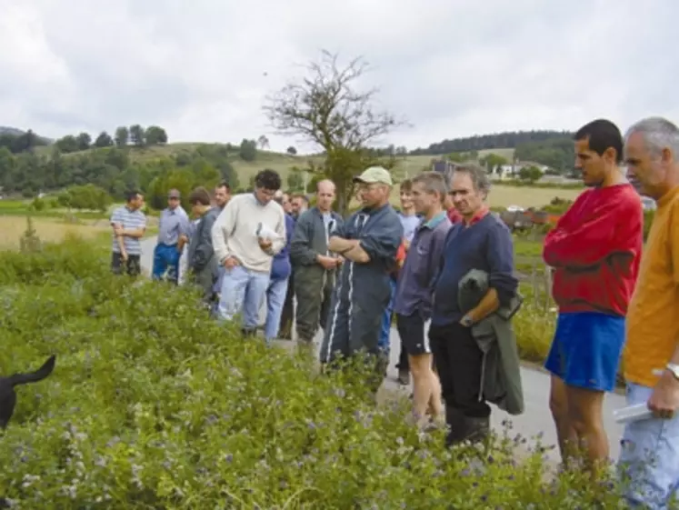 Gaec du Puy Rayat  à Manglieu. M. Chouvy : "la luzerne il faut s'en occuper comme une jeune mariée".