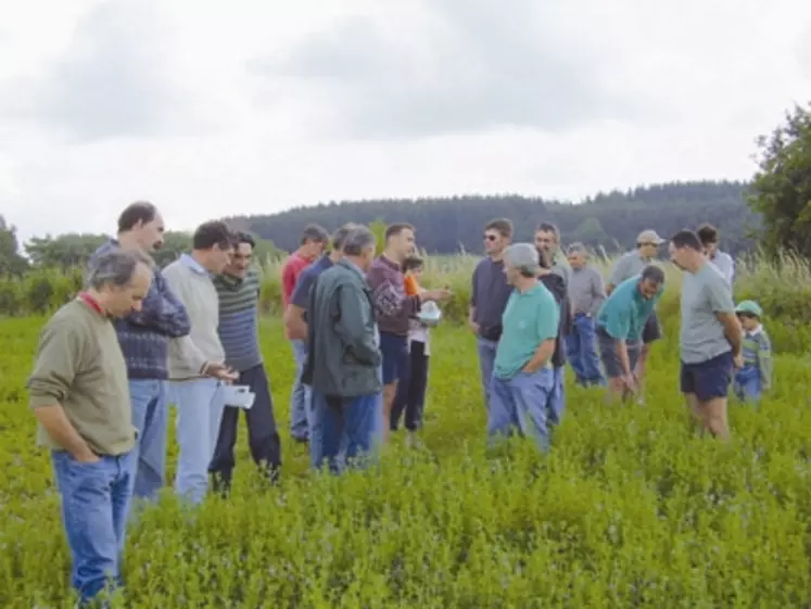 Gaec Moissaing Moranne à Chameane : la conduite en bio a intéressé grand nombre d'agriculteurs.