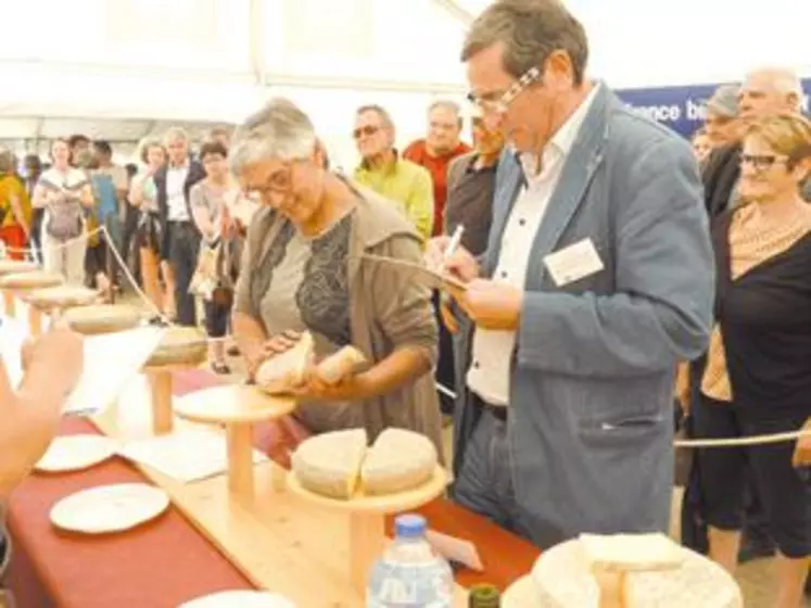 Touchés, tâtés, humés, goûtés… Les fromages fermiers sont analysés sous toutes les coutures.